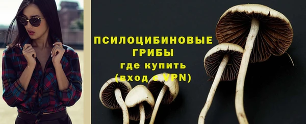 трава Бородино
