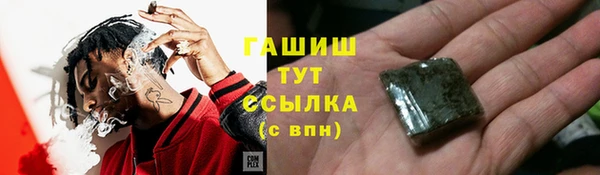 гидра Каменногорск