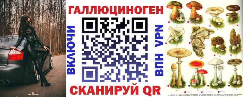 хочу Невьянск ОМГ ОМГ как зайти Псилоцибиновые грибы Psilocybe